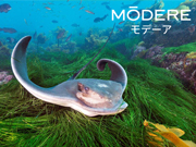 「ナショジオ オリジナルバッグ」プレゼント!