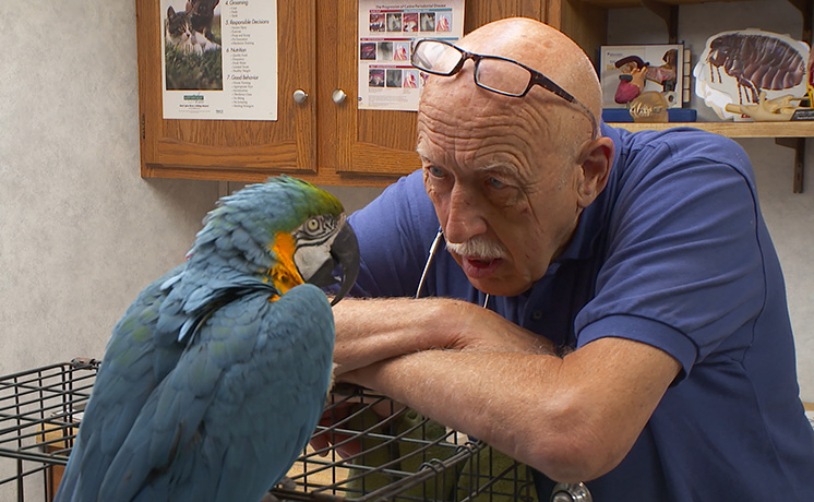 スゴ腕どうぶつドクター 総集編４