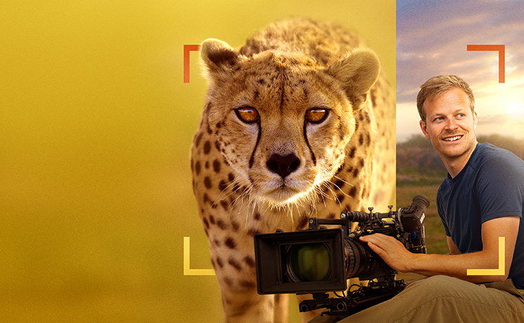 バーティのハイテク・クローズアップ！チーター編