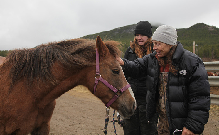 ウマ年！獣医ミシェル