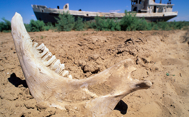 ミステリアス・アイランド：孤島の光と影