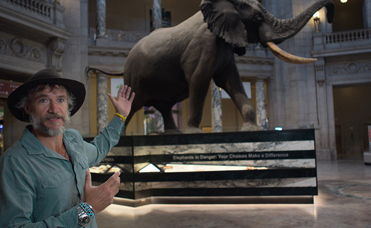 ゴースト・エレファント～巨大な幻影を追う者