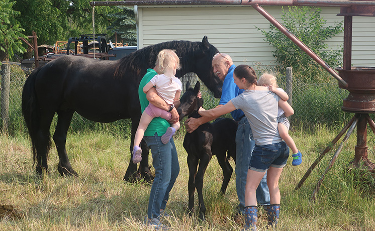 Dr.ポール・グランド・フィナーレ：春の卒業スペシャル