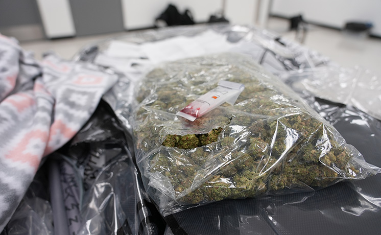 特集：運び屋vs取締屋 大麻大量押収！