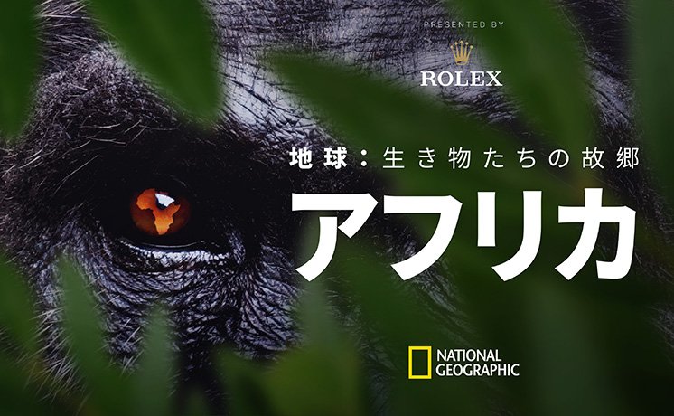 地球：生き物たちの故郷～アフリカ