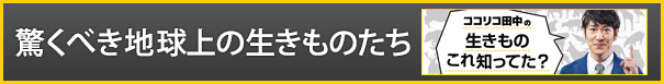 驚くべき地球上の生きものたち ココリコ田中の生きものこれ知ってた？