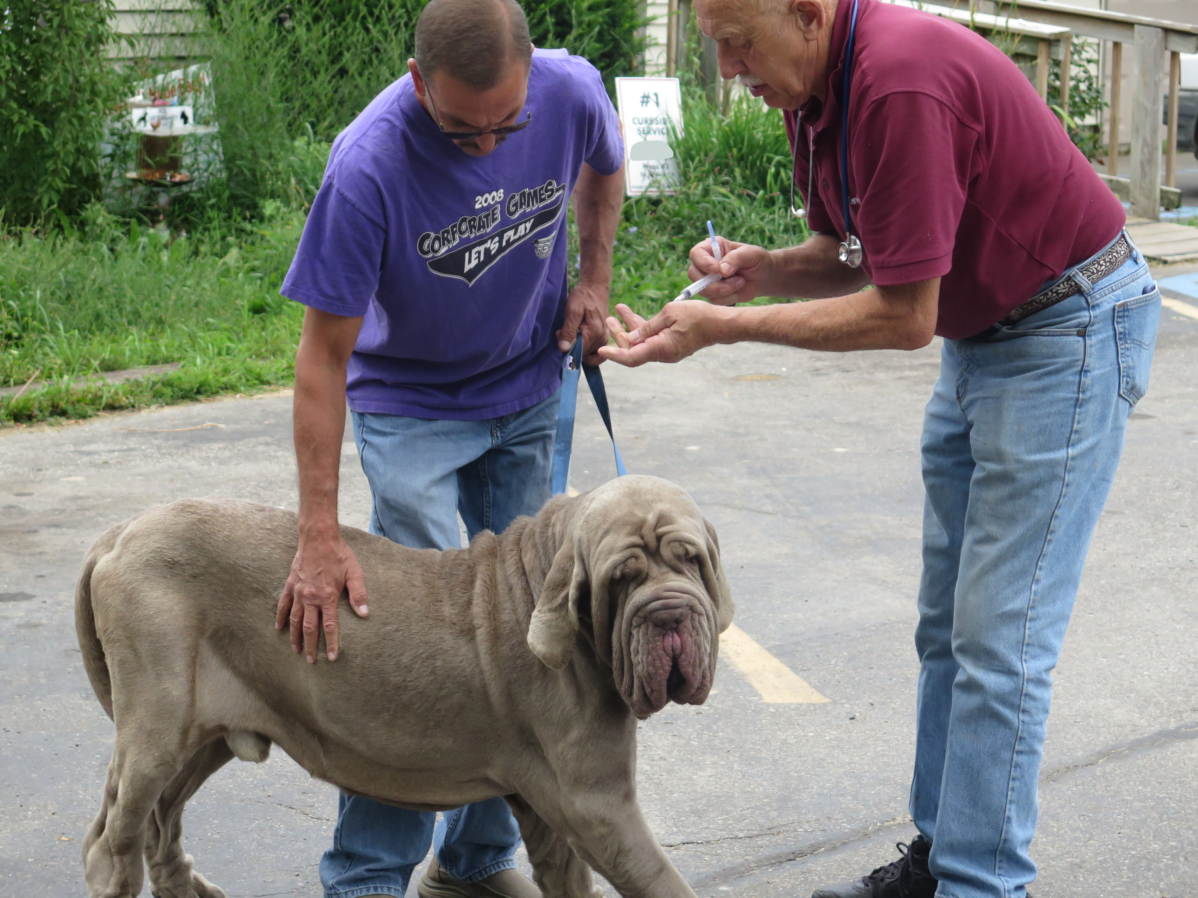 スゴ腕どうぶつドクター 11「元気のないオリバー」