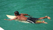 サメの襲撃（Shark Invasion）の写真