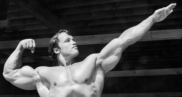 アーノルド・シュワルツェネッガー (原題: Schwarzenegger)の写真