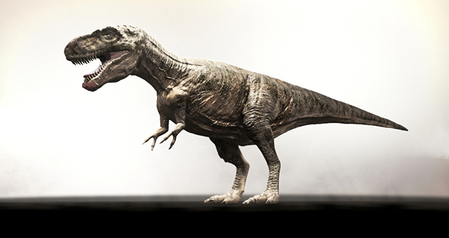 ティラノサウルス 驚異の回復力 (原題: T.Rex Trauma)の写真