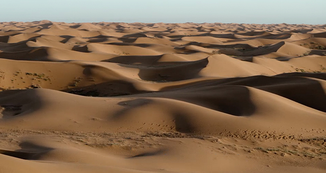 リサイクル大作戦：砂漠への挑戦の写真