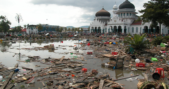 [世界津波の日] 『史上最大級の自然災害！インド洋大津波』 一挙放送の写真