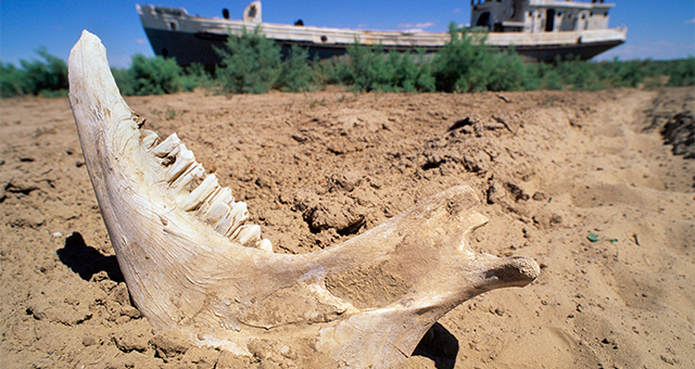 ミステリアス・アイランド：孤島の光と影の写真