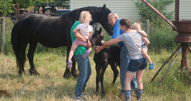 Dr.ポール・グランド・フィナーレ： 春の卒業スペシャルの写真