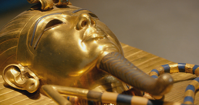 特集：ディープナイト・ヴォイス・フェスの写真