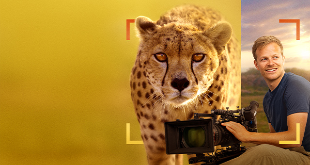 バーティのハイテク・クローズアップ！チーター編の写真