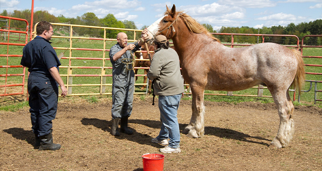 月刊 Dr.ポール：5月号の写真