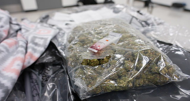 特集：運び屋vs取締屋 大麻大量押収！の写真