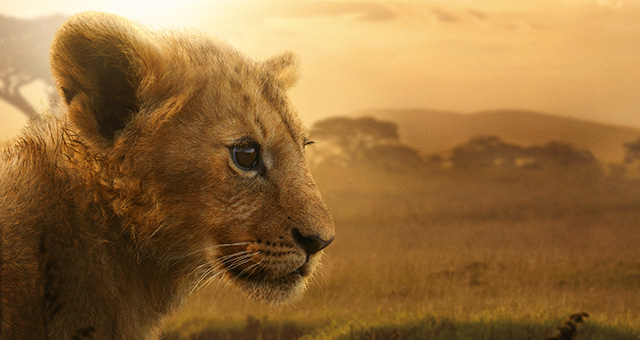 LION -王国の物語-の写真