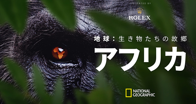 地球：生き物たちの故郷～アフリカの写真