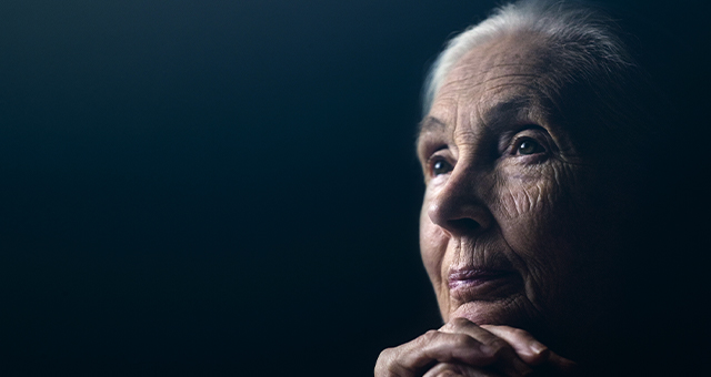 ジェーンのきぼう