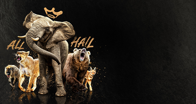 クイーンズ：荘厳なる野生の王国