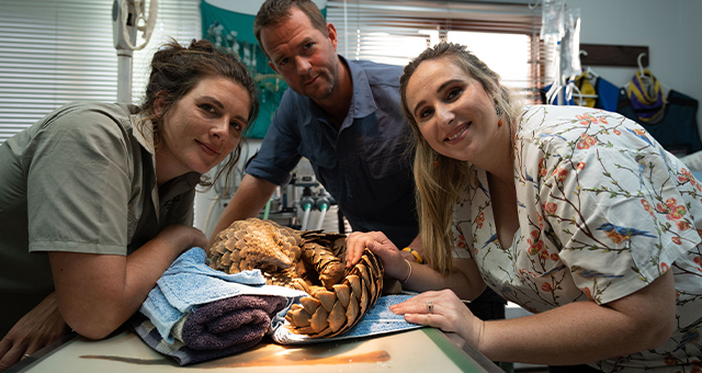 がんばれ！野生のあかちゃんアニマル