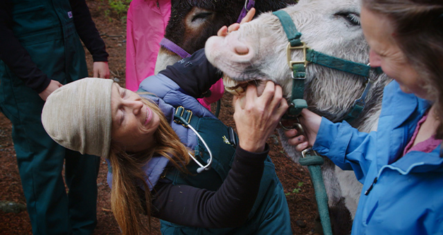 獣医ミシェルの女性史月間スペシャル