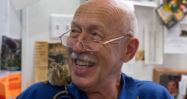 スゴ腕どうぶつドクター 総集編3