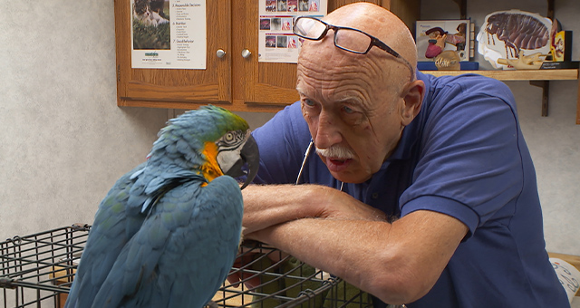 スゴ腕どうぶつドクター 総集編4