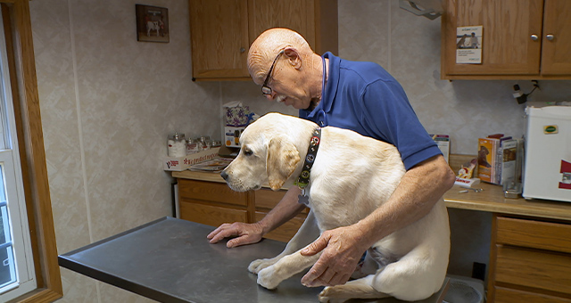スゴ腕どうぶつドクター 総集編５