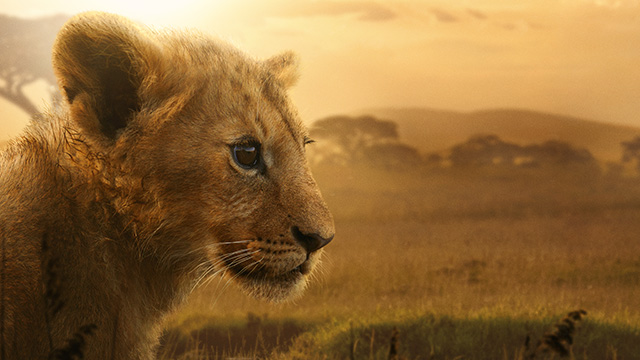 LION -王国の物語-