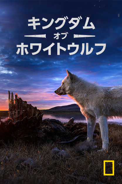 キングダム・オブ・ホワイトウルフ