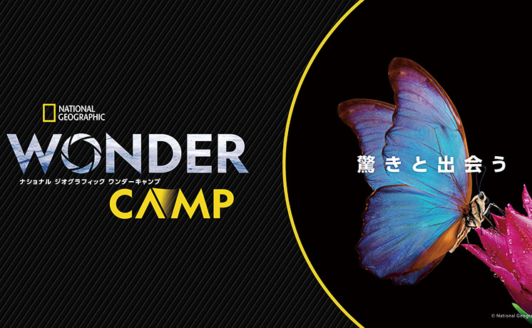 ナショナル ジオグラフィック ワンダーキャンプ