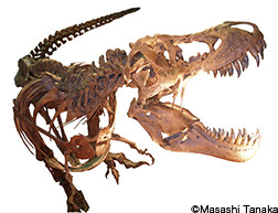 The World Heritage Special