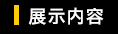 展示内容